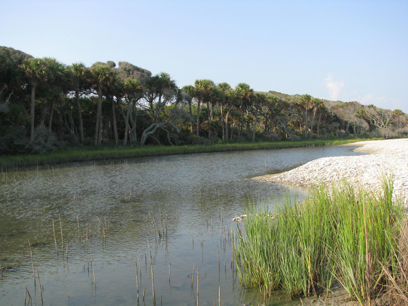 Botany Bay Plantation WMA